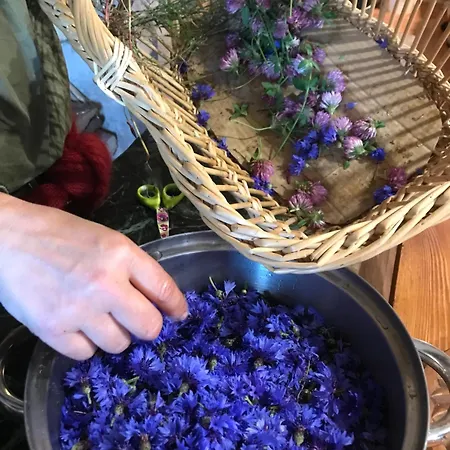 Et Tables D'hotes - Les Ateliers De Pontajou - Pelerin Navette Gratuite A Saugues 3* Venteuges