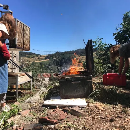 Frühstückspension Et Tables D'hotes - Les Ateliers De Pontajou - Pelerin Navette Gratuite A Saugues