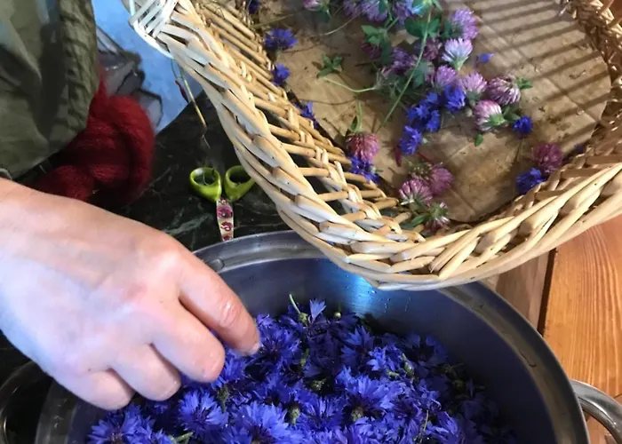 Et Tables D'hotes - Les Ateliers De Pontajou - Pelerin Navette Gratuite A Saugues 3* Venteuges