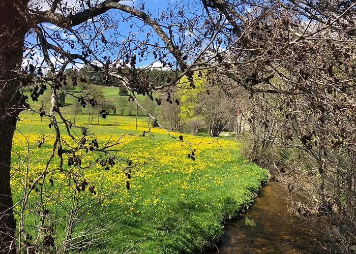 Et Tables D'hotes - Les Ateliers De Pontajou - Pelerin Navette Gratuite A Saugues Venteuges