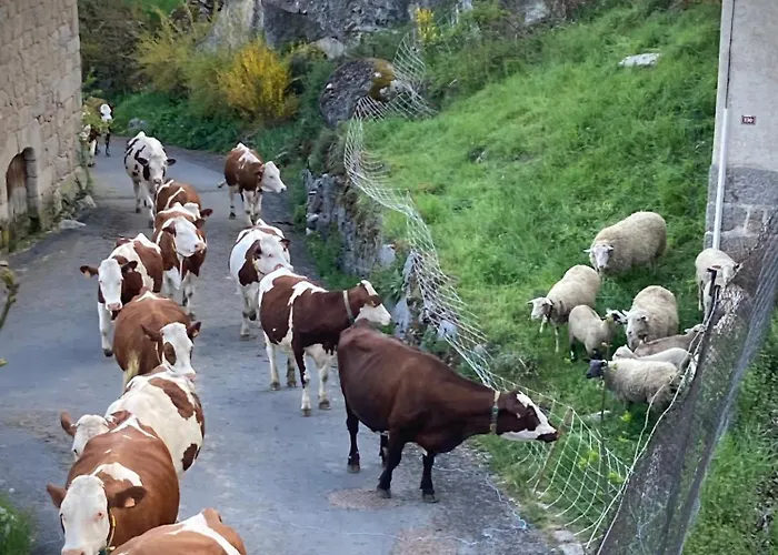 Et Tables D'hotes - Les Ateliers De Pontajou - Pelerin Navette Gratuite A Saugues Frühstückspension 3*
