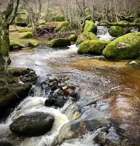 Et Tables D'hotes - Les Ateliers De Pontajou - Pelerin Navette Gratuite A Saugues Frühstückspension Venteuges